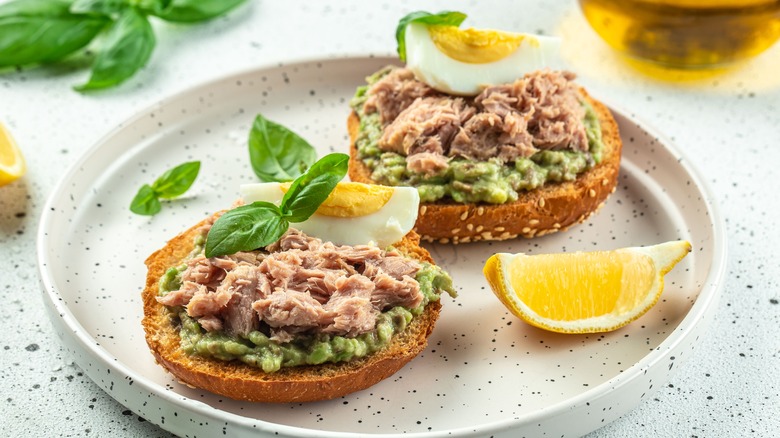 avocado tuna sandwich