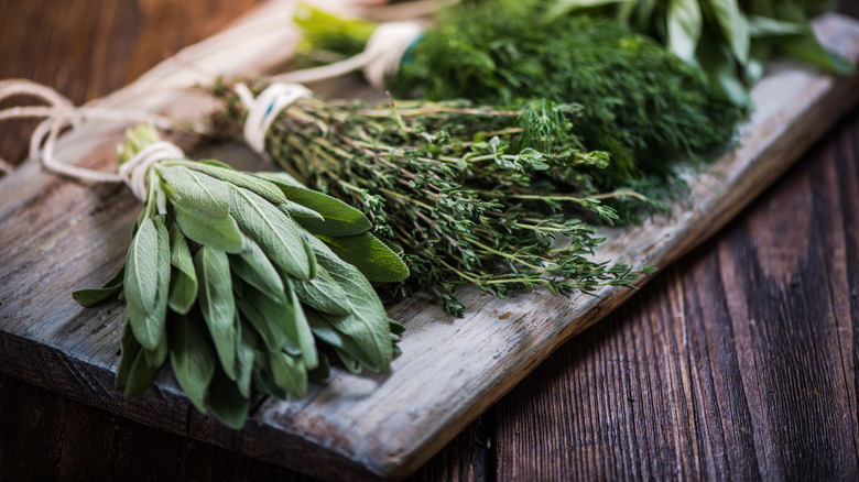 fresh herbs on wood plank