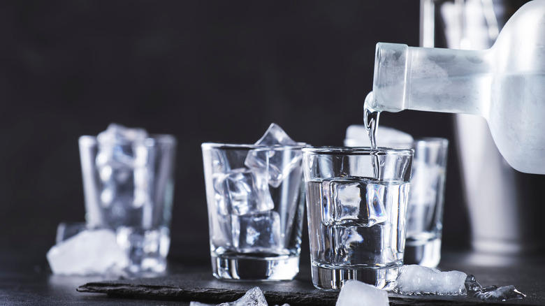 iced shots of gin