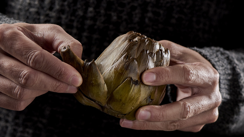 man peeling artichoke leaves