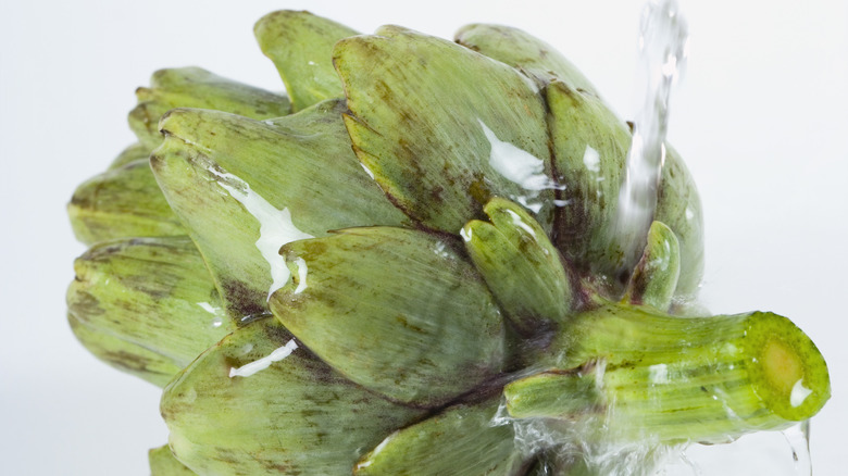 artichoke being rinsed