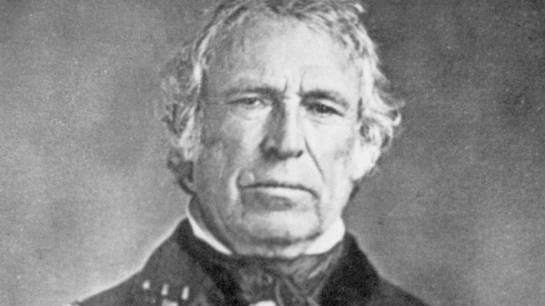 Portrait of President Zachary Taylor