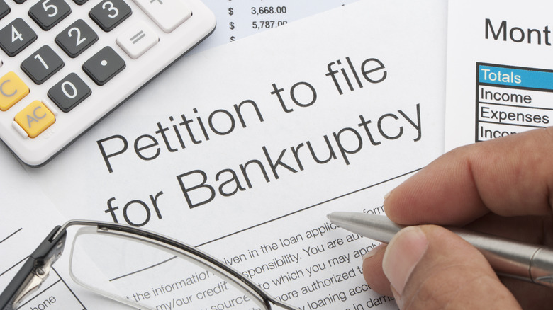 bankruptcy petition document