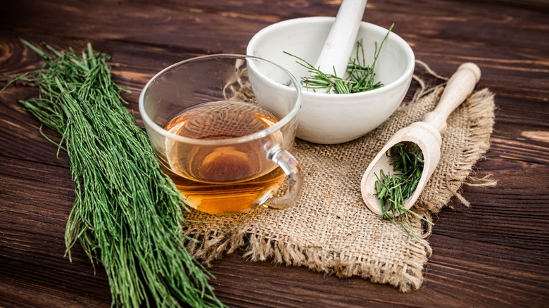 horsetail infusion tea