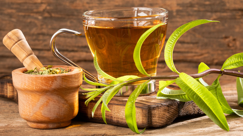 tea with lemon verbena