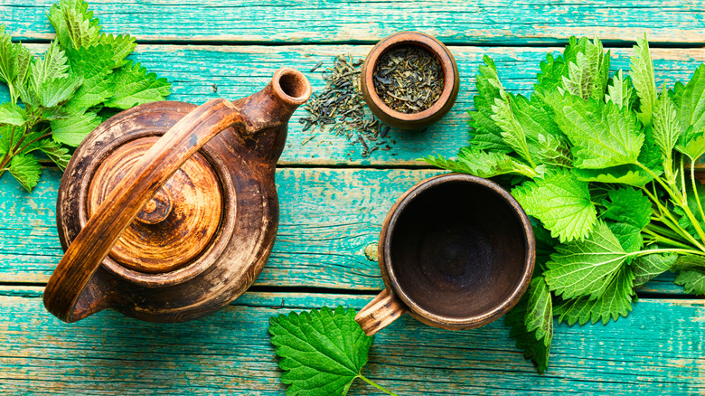 herbal tea with nettle leaves