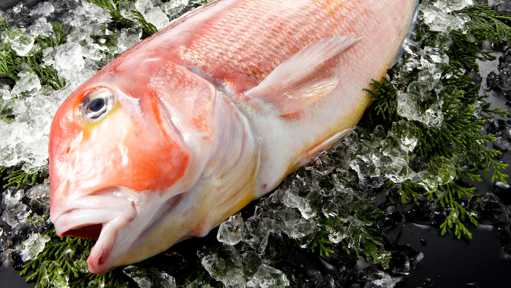 chilled tilefish on ice and greenery