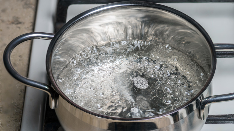 Pot of boiling water on the stove