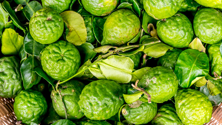 pile of bergamot oranges 