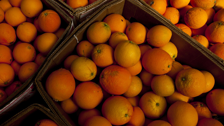 Cara Cara oranges in crates 