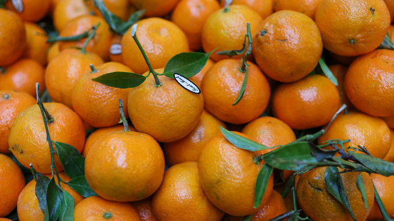 clementines for sale 