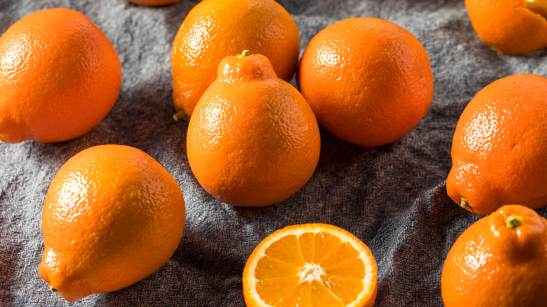 tangelo oranges on a towel