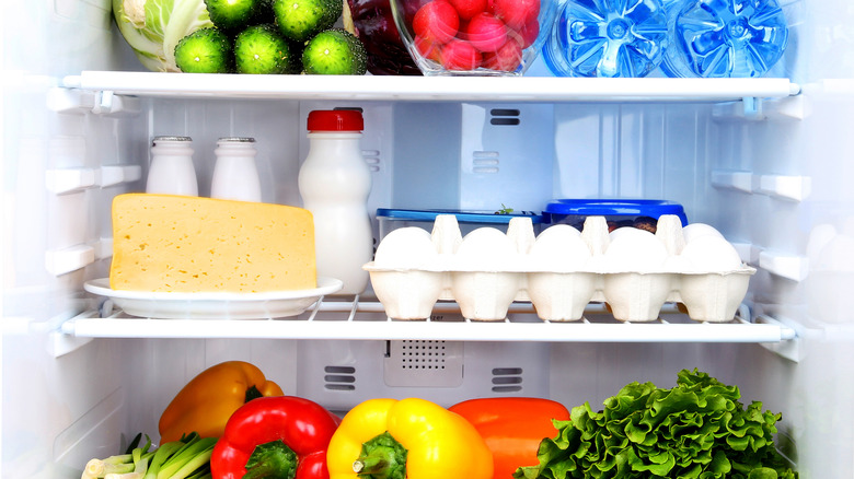 refrigerator with eggs on middle shelf