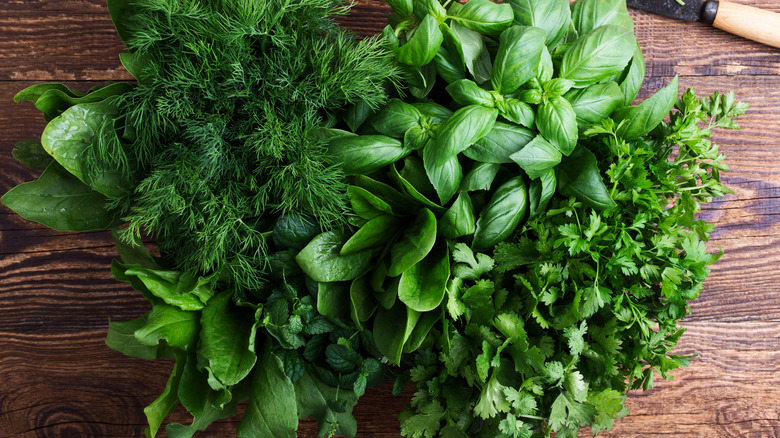 fresh herbs on wood surface