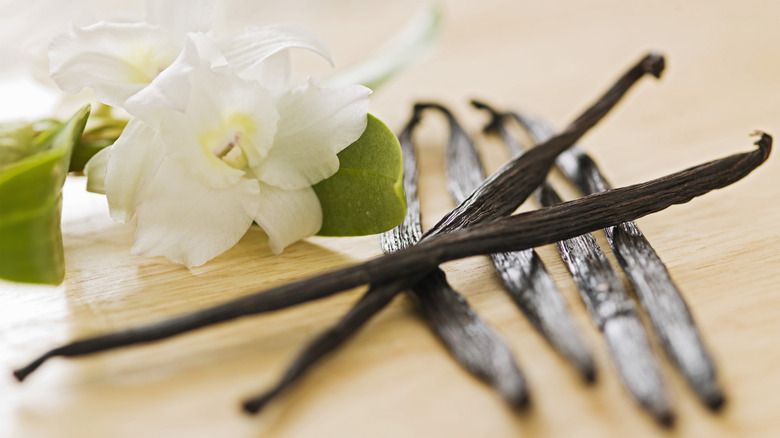 Vanilla bean pods and flower