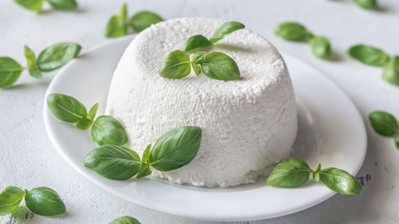 Ricotta and fresh basil on a white plate