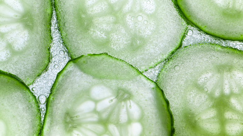 Cucumber slices in gel