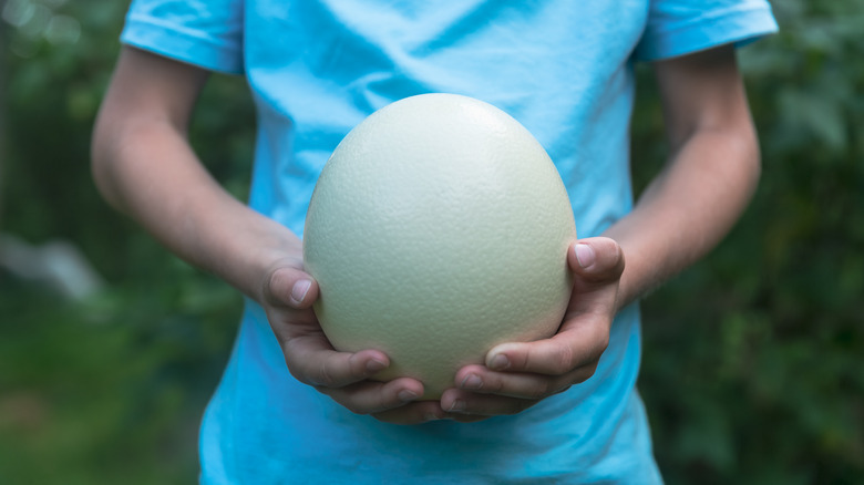 person in a blue shirt holding a large ostrich egg