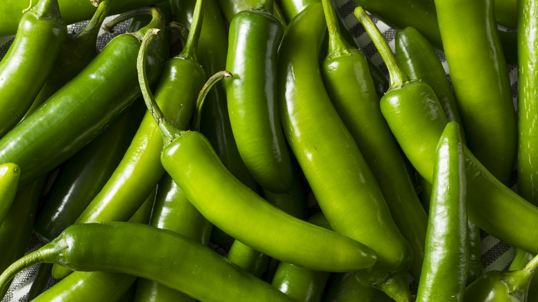 Serrano chili peppers