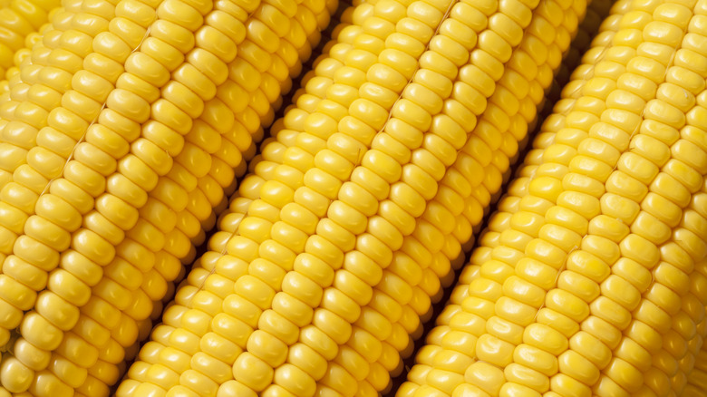 Close-up of corn on the cob