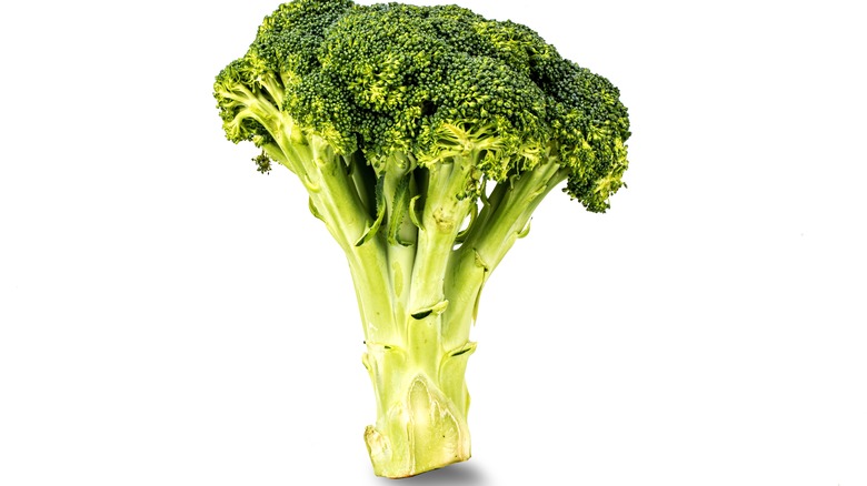 Broccoli isolated on a white background