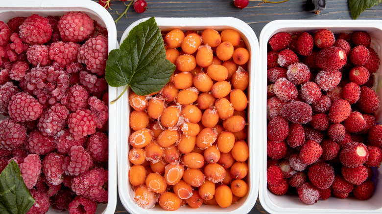 Frozen berries in containers