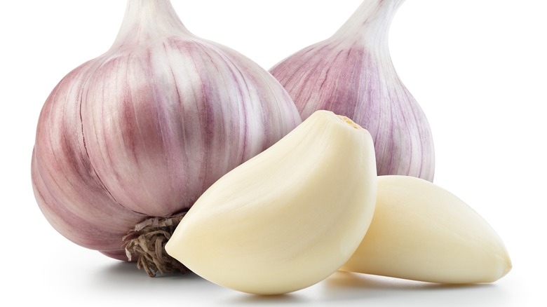 garlic