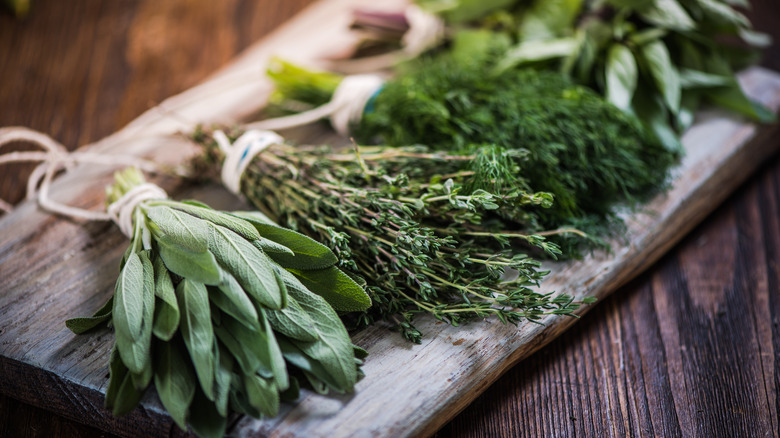 bundles of fresh herbs