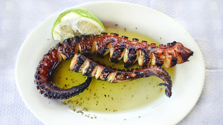 Greek style grilled octopus 