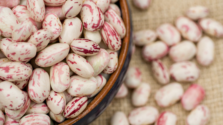 borlotti beans