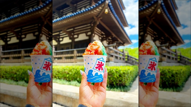 Hand holds cup of shaved ice