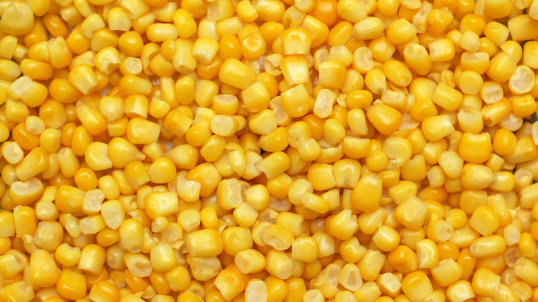 Closeup of corn kernals