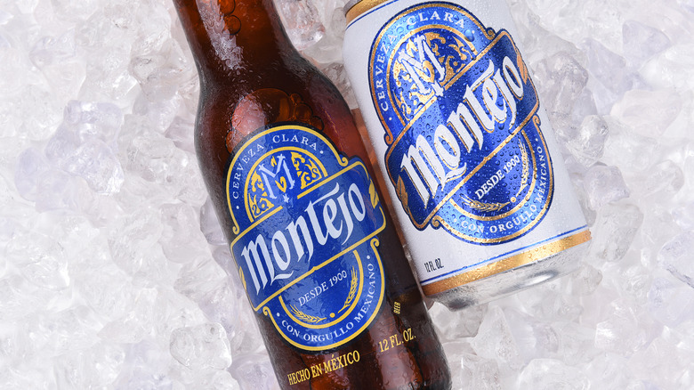 Montejo bottle and can in ice