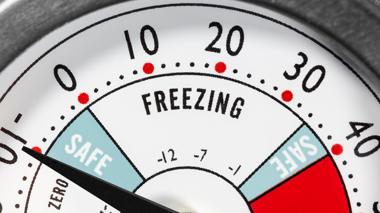 freezer thermometer