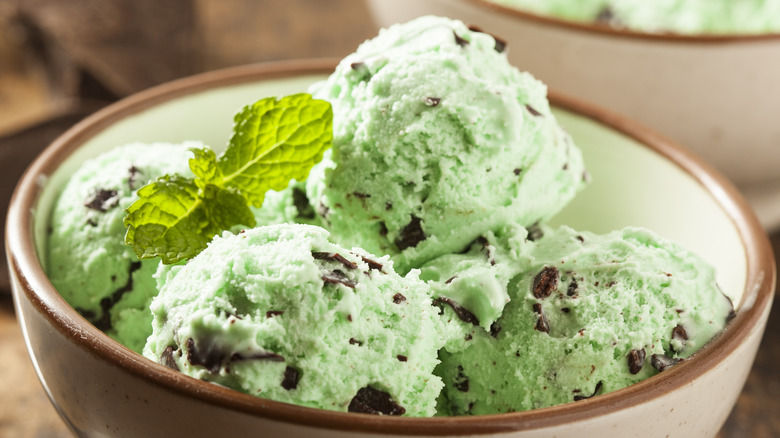 Bowl mint chocolate chip ice cream