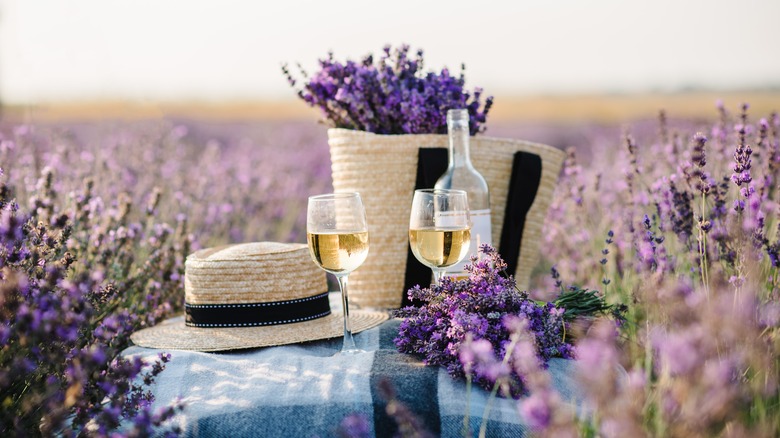 picnic blanket in lavender field