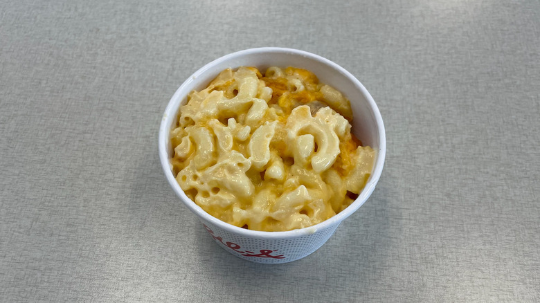 Cup of macaroni