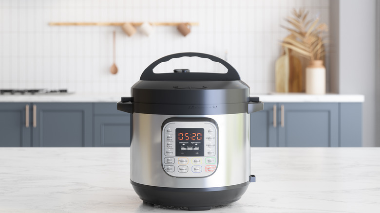 Instant Pot on counter