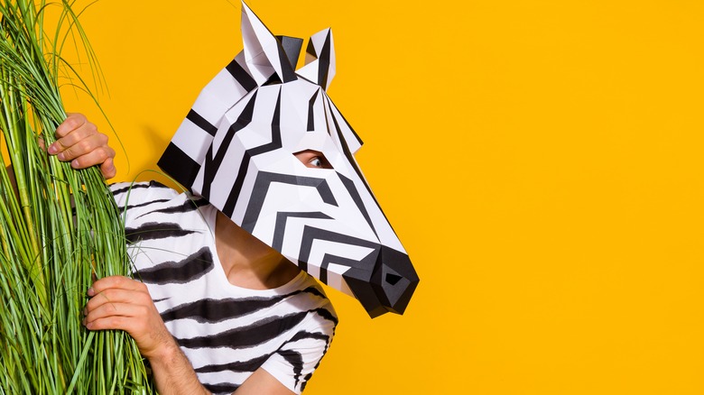 Person in zebra costume 