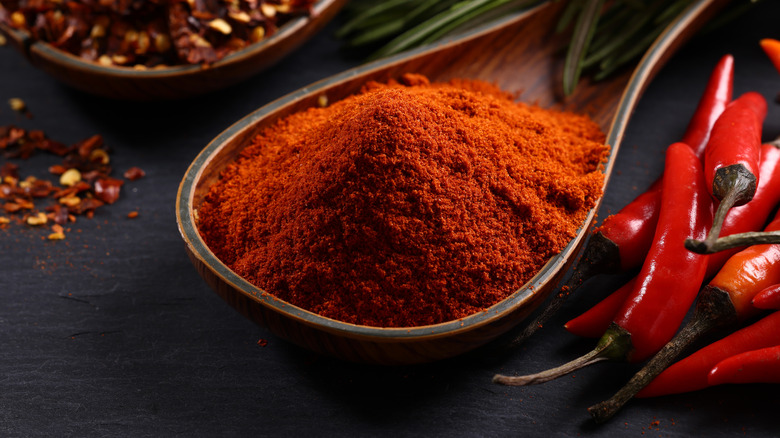 Spoon filled with cayenne pepper