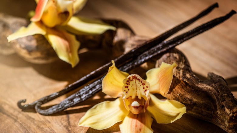 vanilla pods and flowers