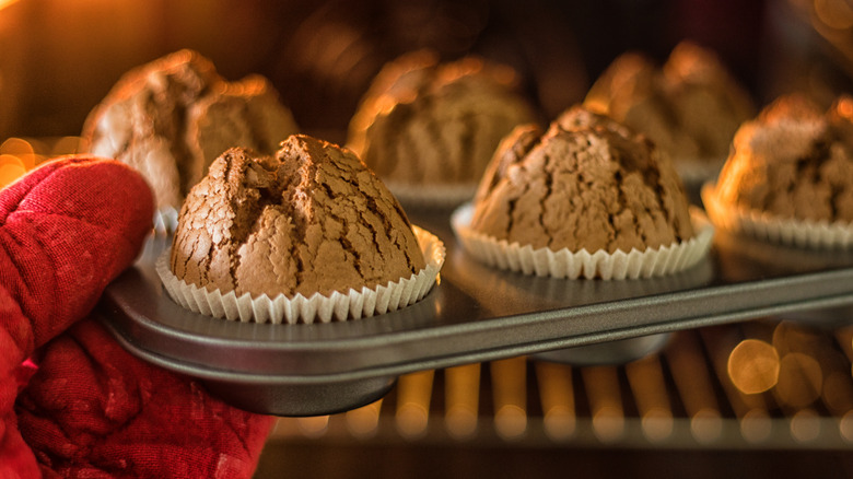 taking chocolate muffins out of oven