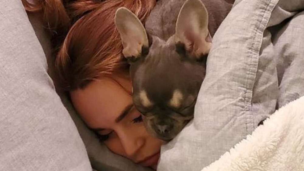 Rosanna Pansino sleeping with puppy