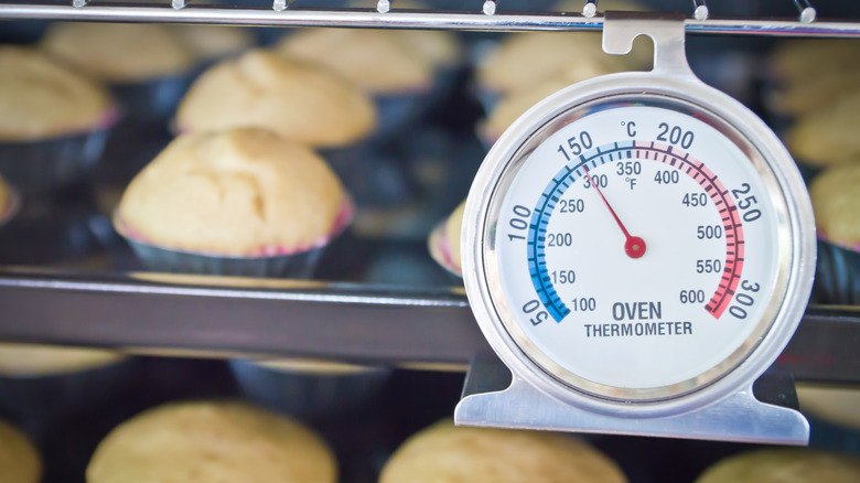 thermometer dangling from oven rack