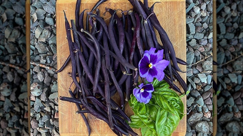 Royal Burgundy beans on a cutting board