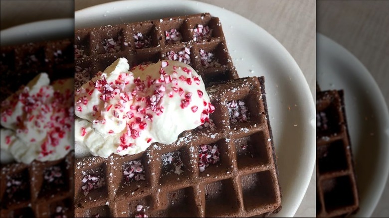 Chocolate waffles with peppermint topping