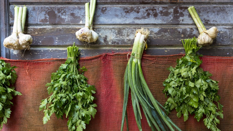 Herbs and aromatics on wall