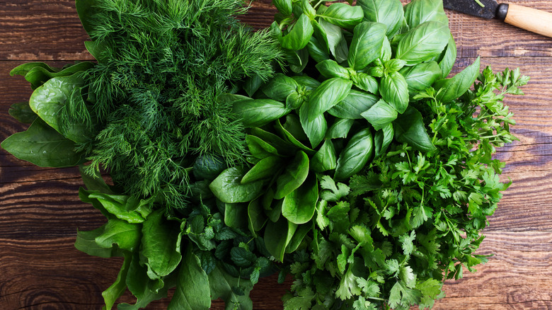 Fresh herbs on wooden table