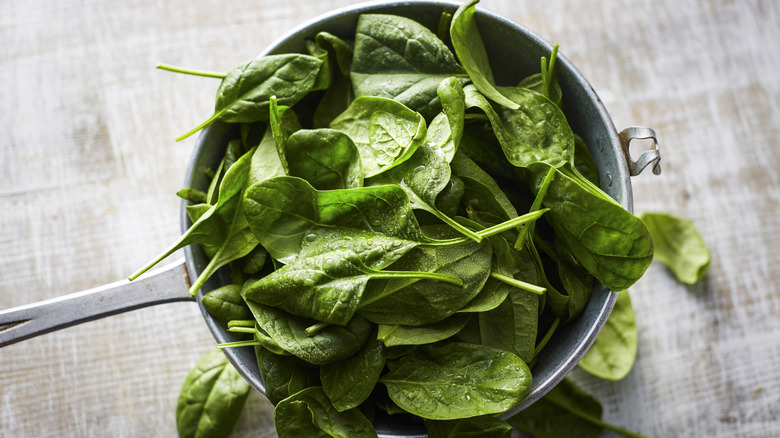 Spinach leaves in a pot