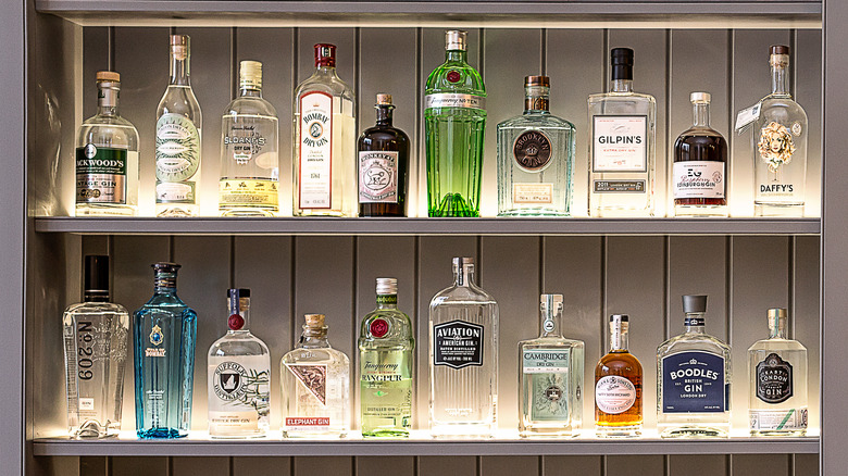 gin bottles on shelves